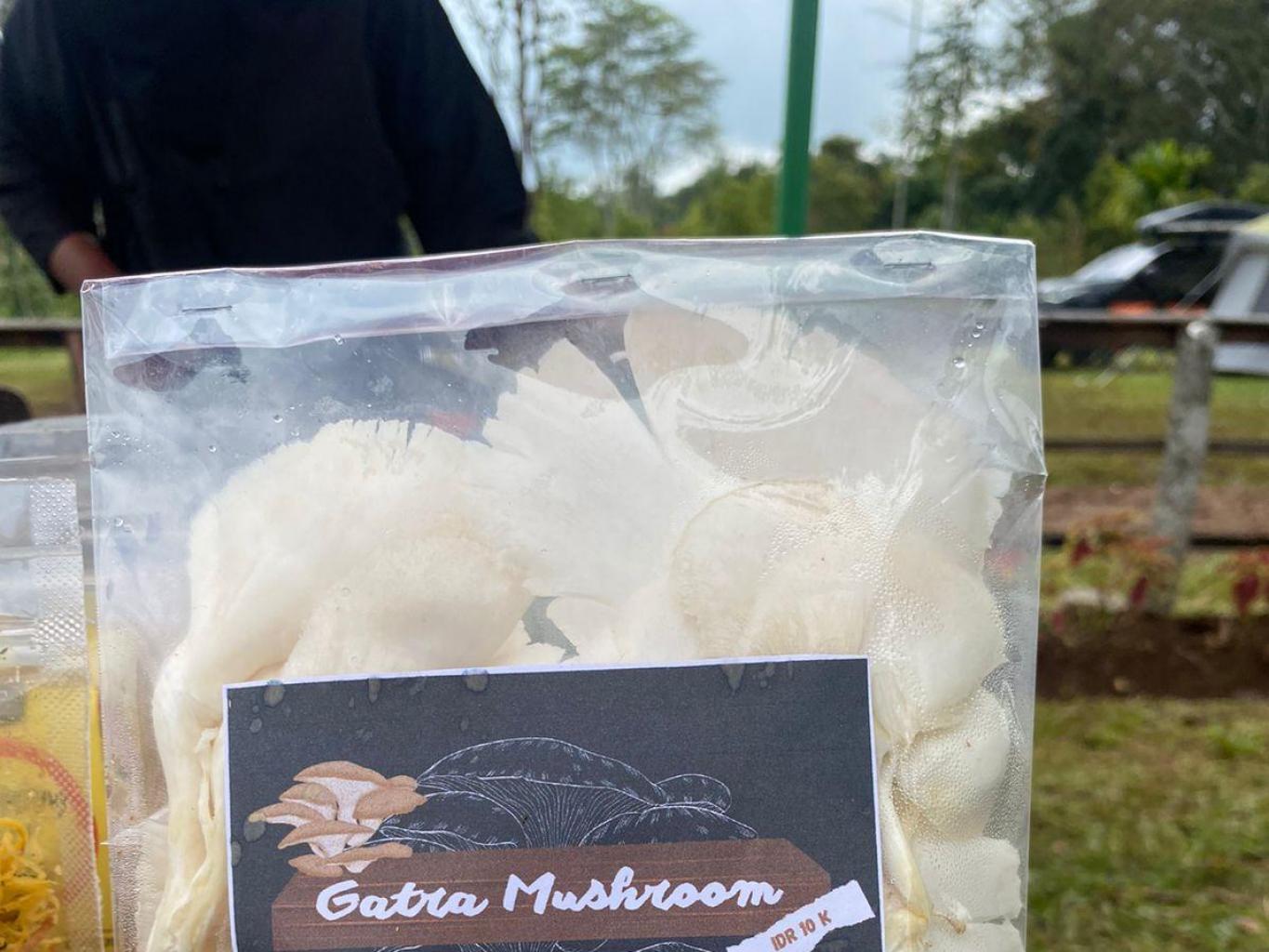 Gatra Mushroom
