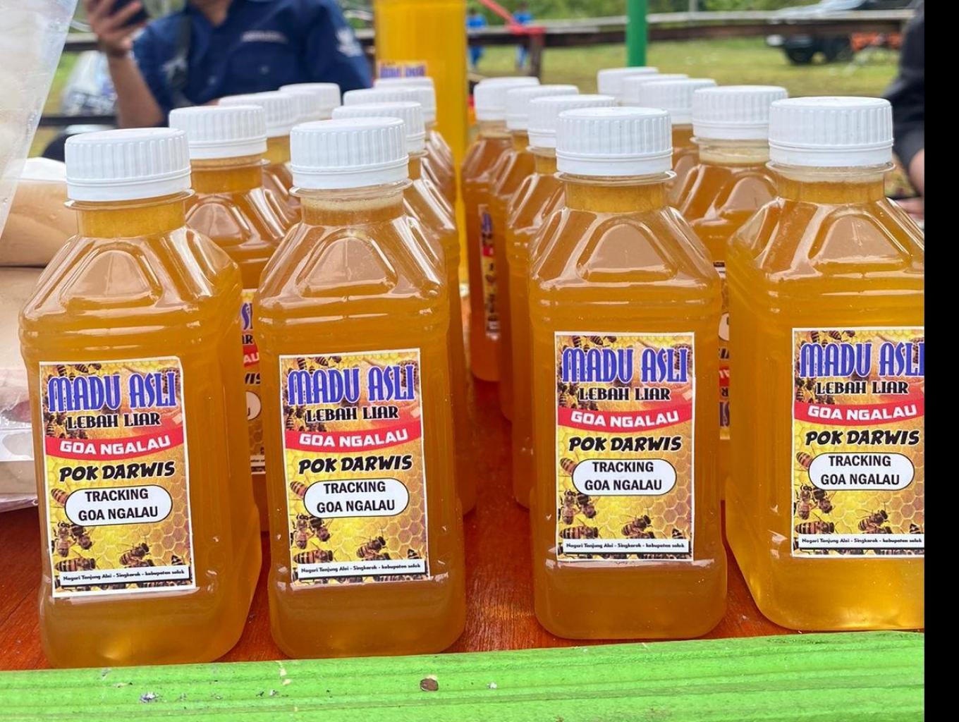 Madu Asli Lebah Liar