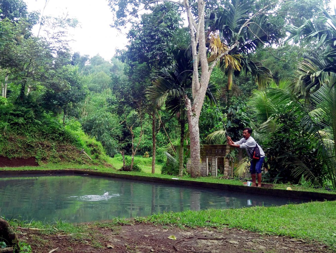 Mancing Mania