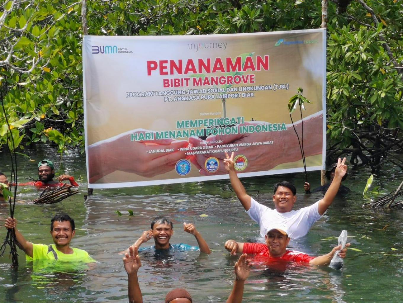 penanaman bibit manggrove