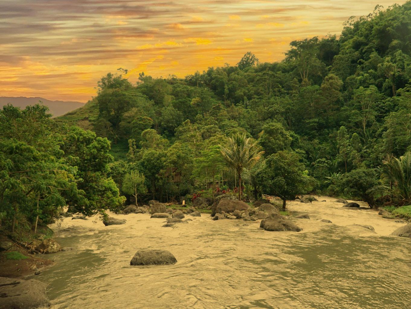 Wisata Arangangia