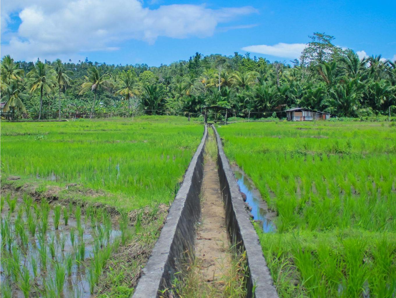 Wisata Terasering 