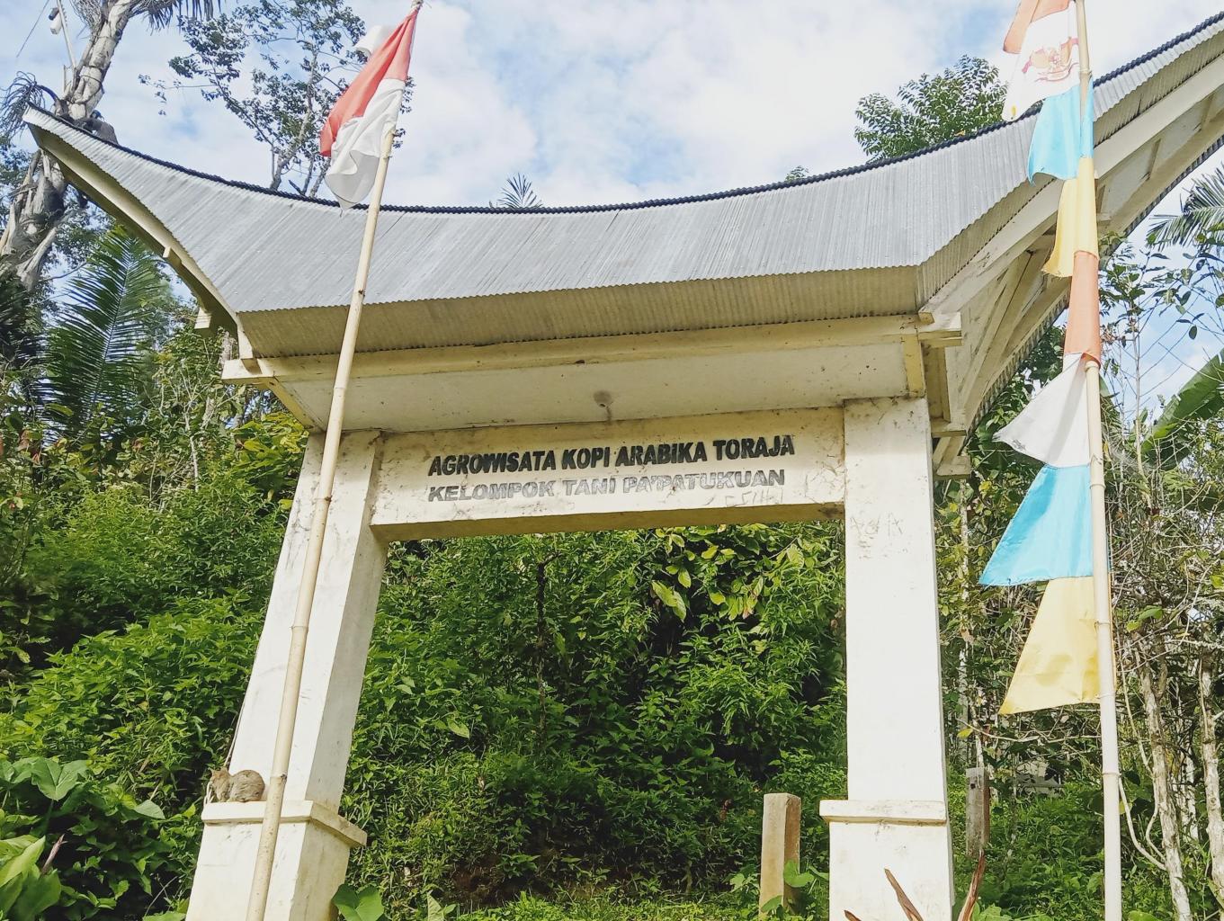Agrowisata Kopi Arabika Toraja