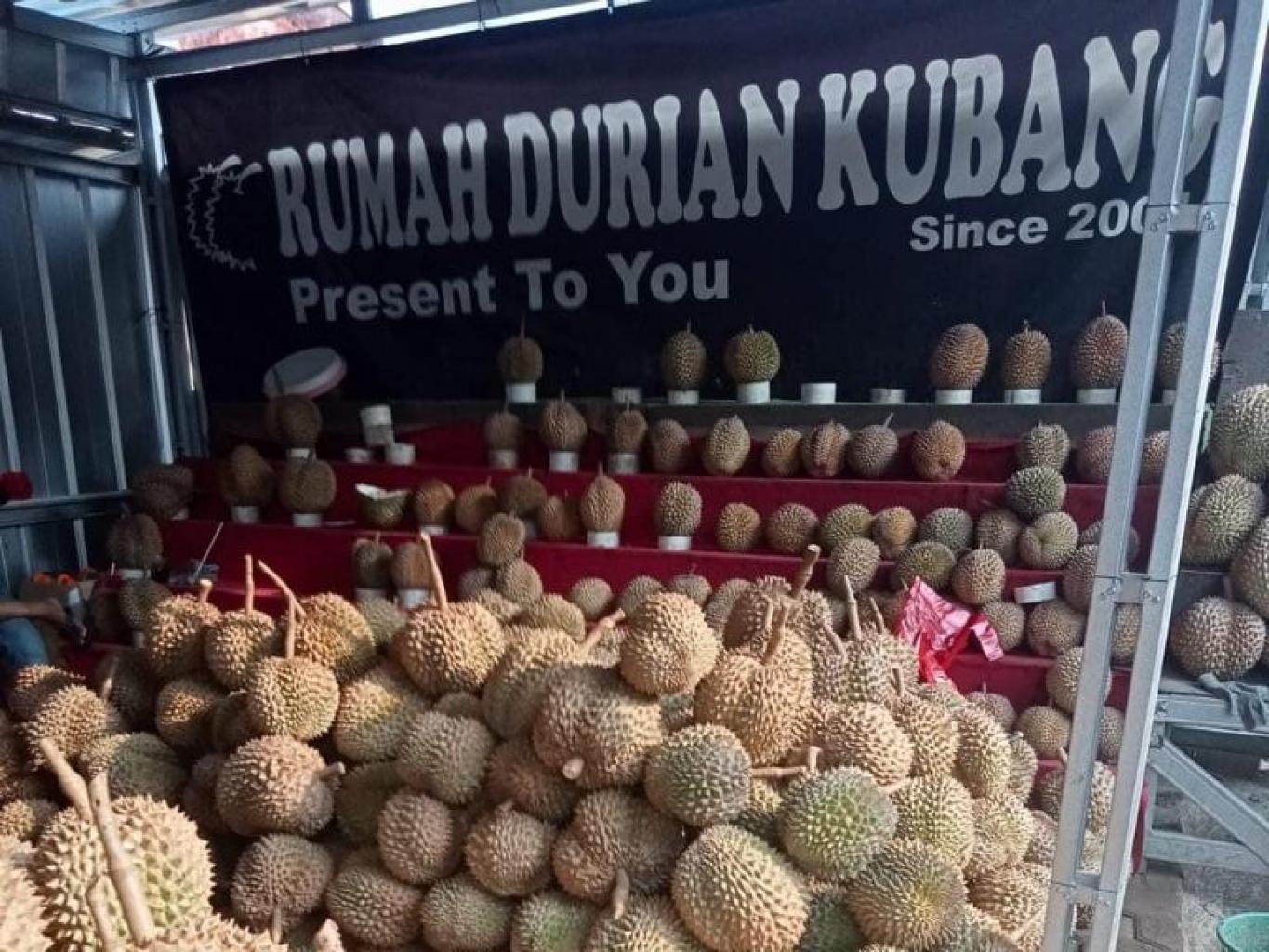 Durian Kubang