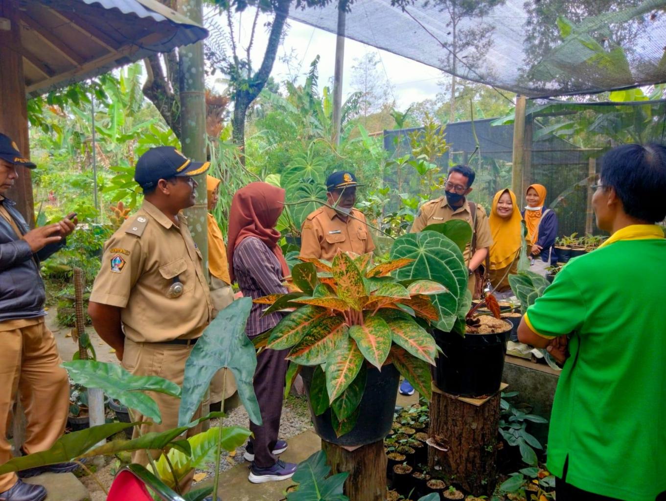 Wisata edukasi tanaman hias kromosan