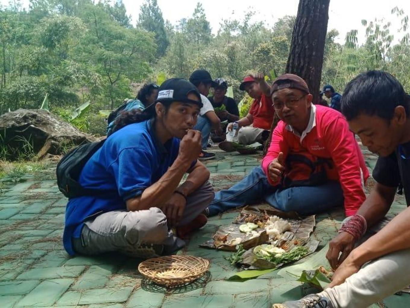 Jungle culiner 