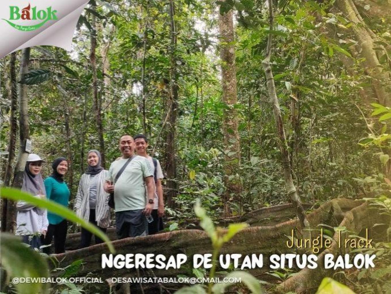 Jungle Track Ngeresap de Utan Situs Balok