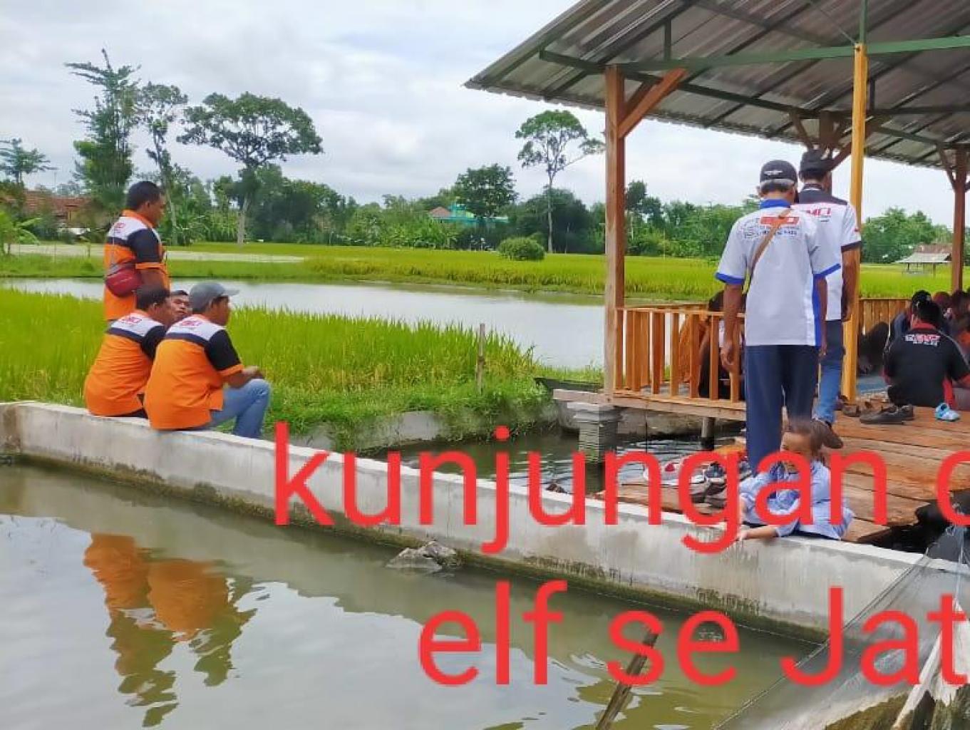 Son Koi Farm