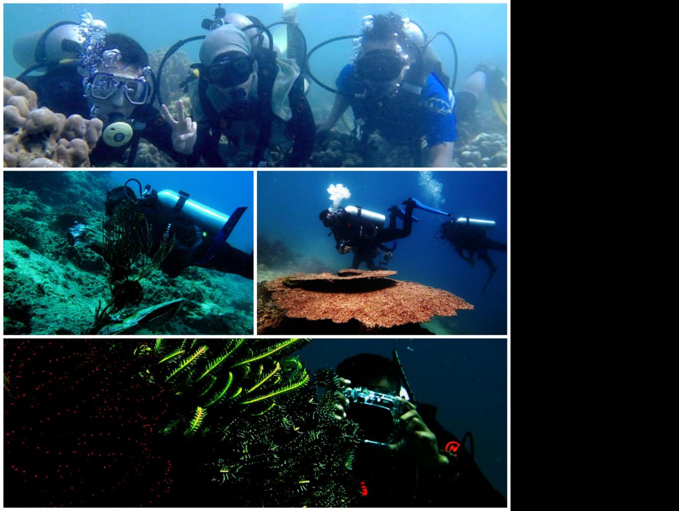 Scuba Diving
