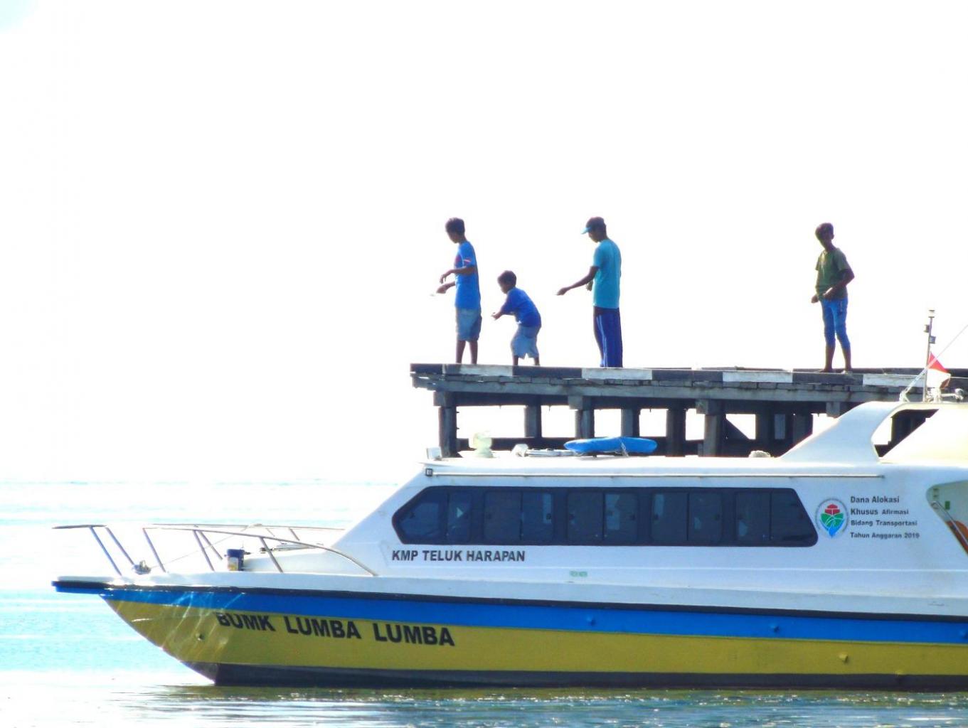 Speedboat Wisata BUMK Lumba-Lumba