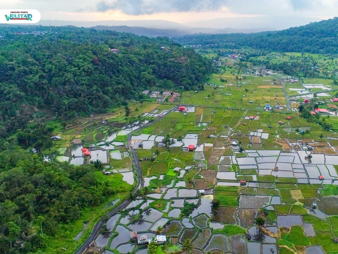 Pertanian Sawah