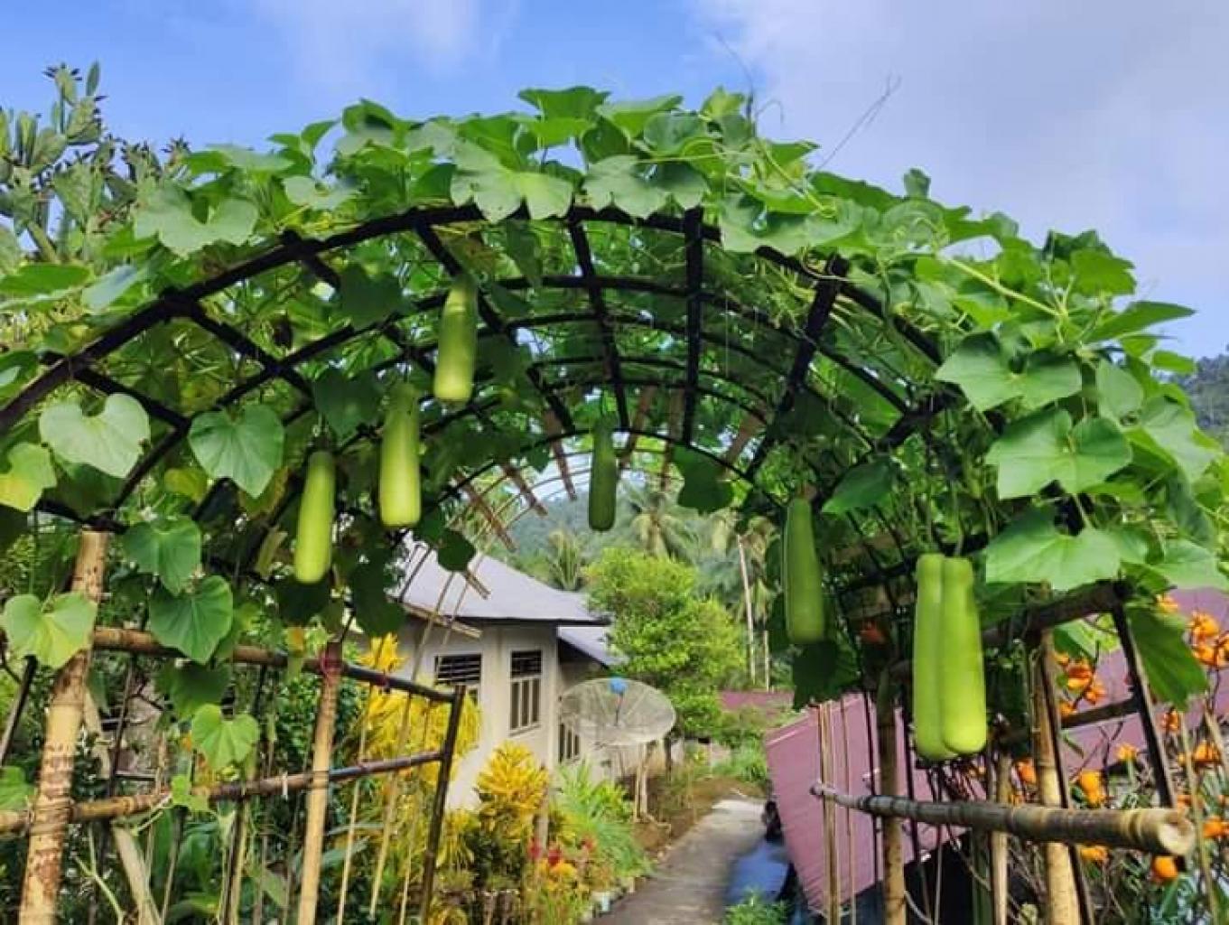 TEROWONGAN ANEKA SAYUR DI JALAN SETAPAK PEMUKIMAN PENDUDUK