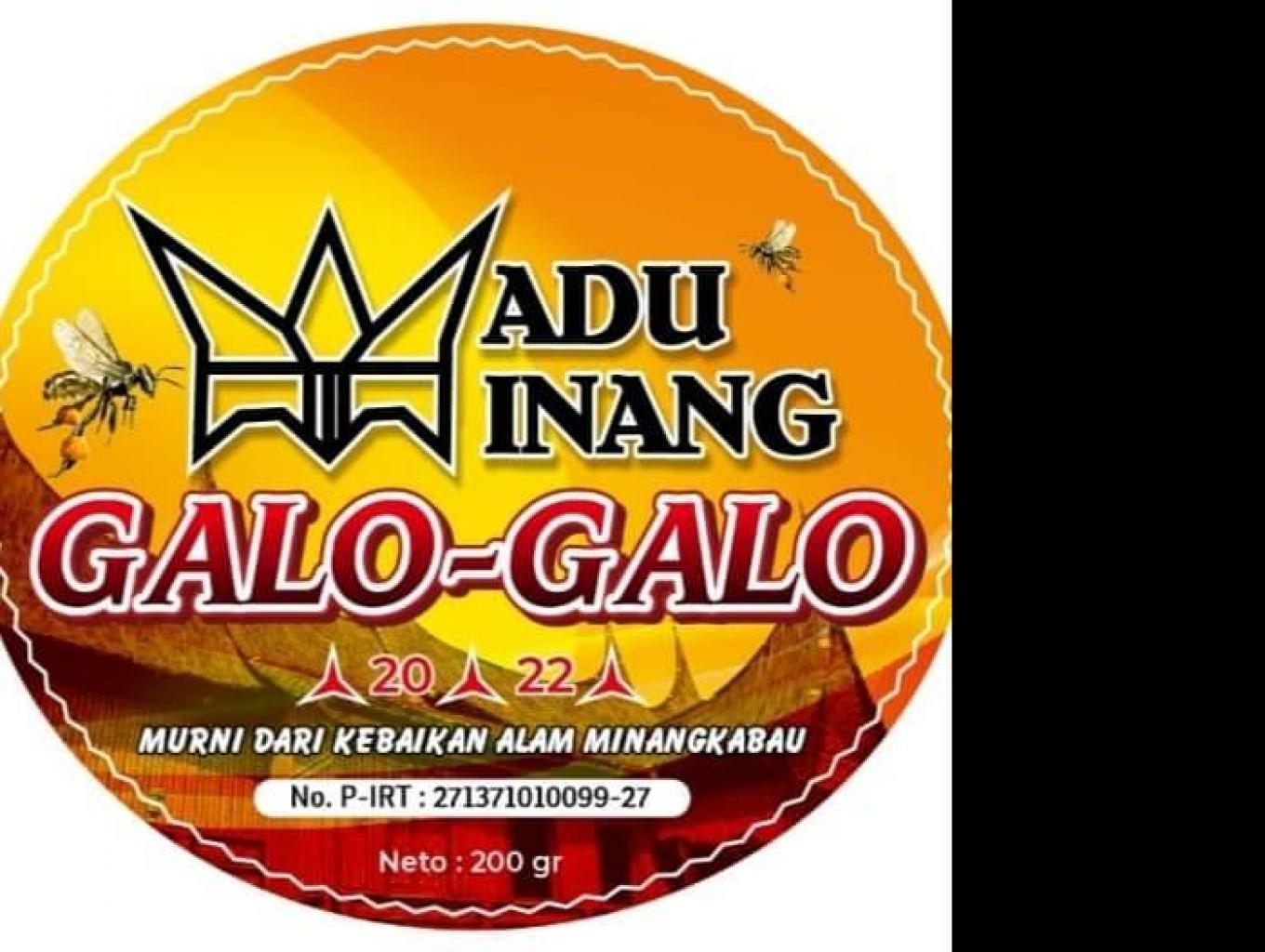 nyicip madu lebah galo galo (ytigona)