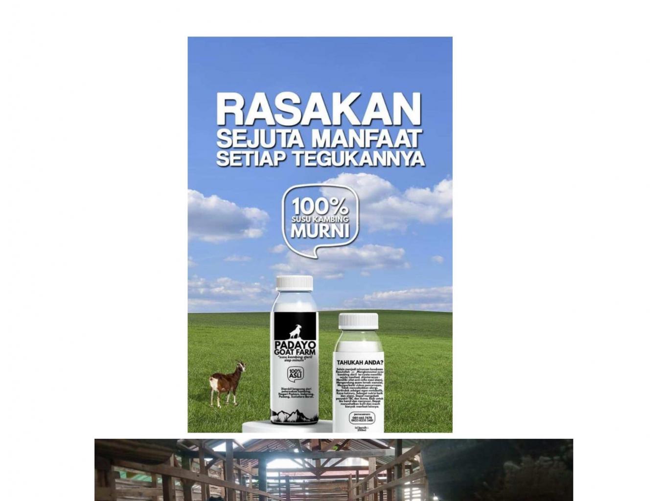 SUSU KAMBING PADAYO GOAT FARM