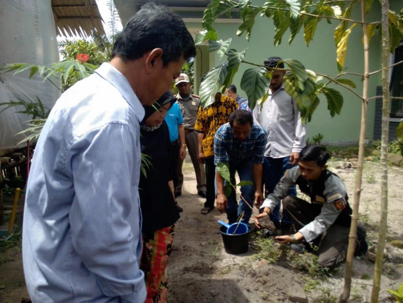 TANAM KOPI
