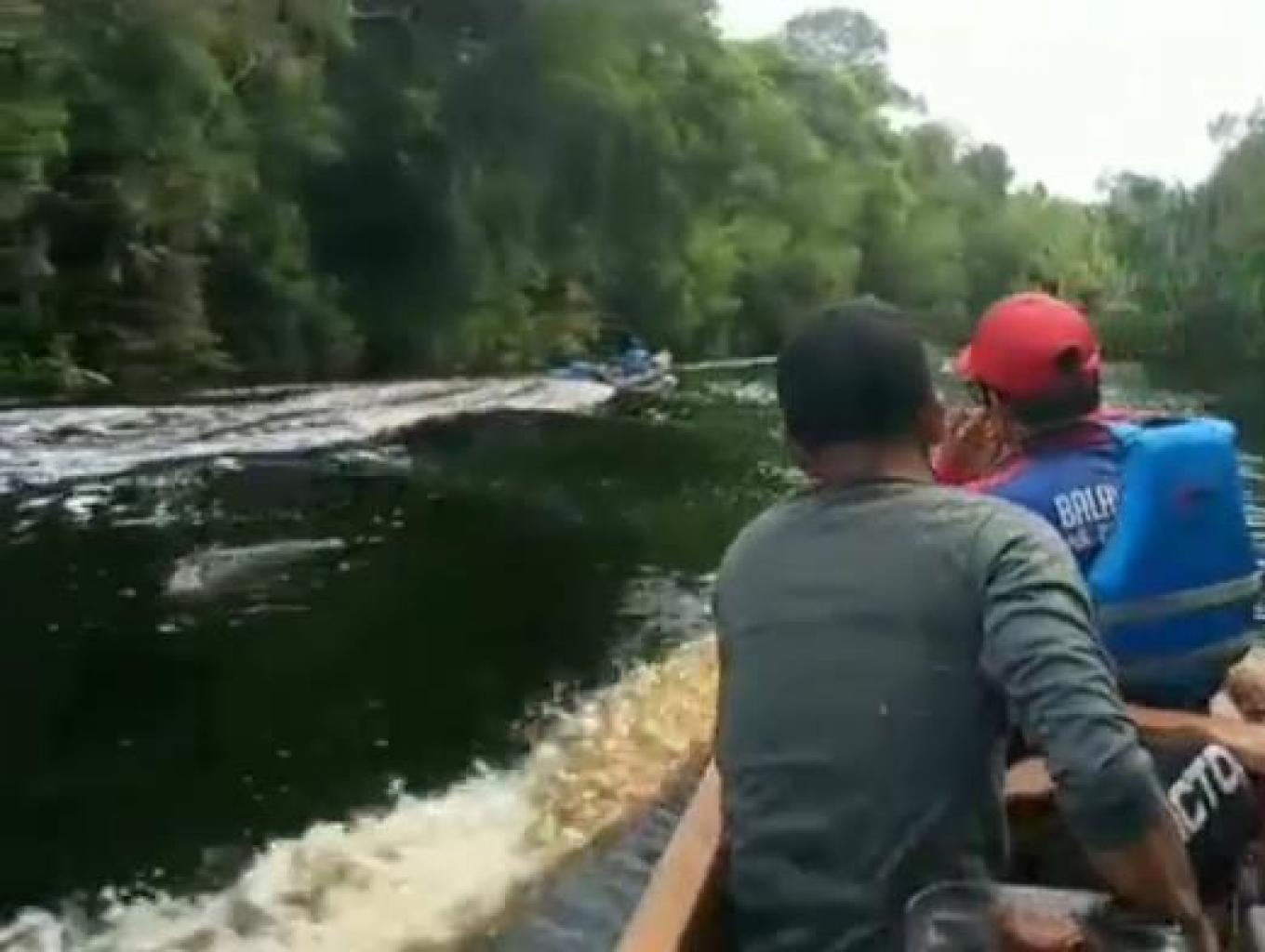 susur sungai ketopat,an hutan SM kerumutan