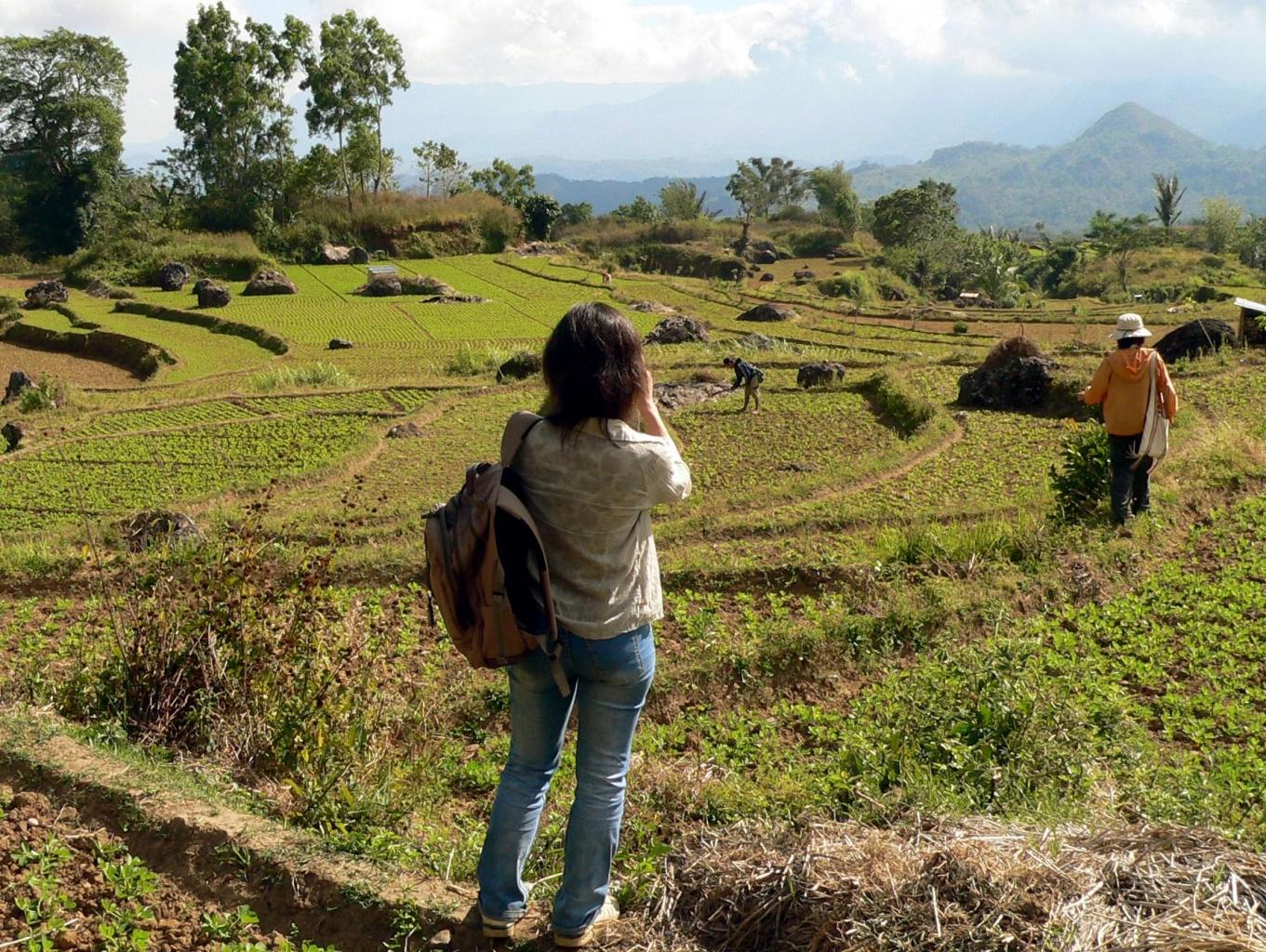 wisata kacang tanah