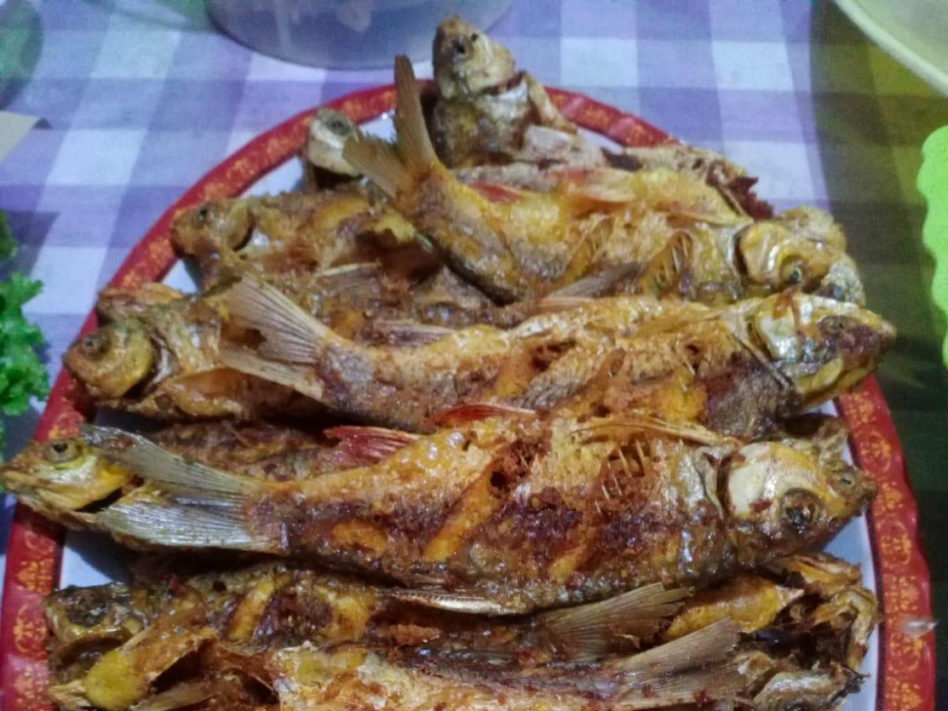 Iwak Kali