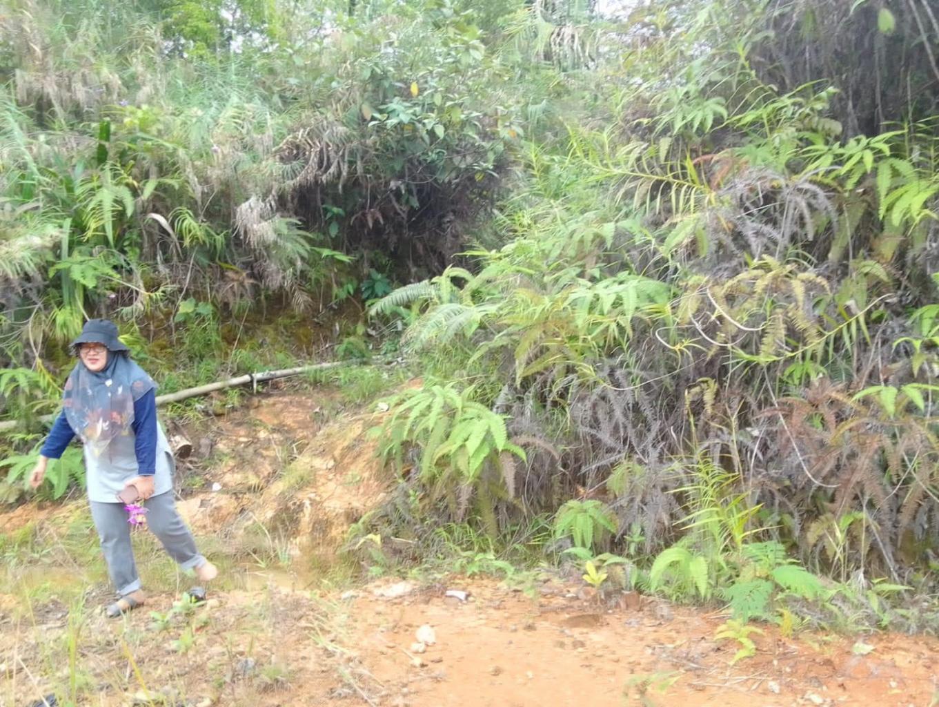 Wisata Alam Goa Kelelawar
