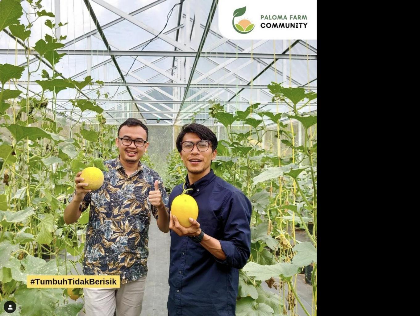 Agrowisata Ladang Paloma