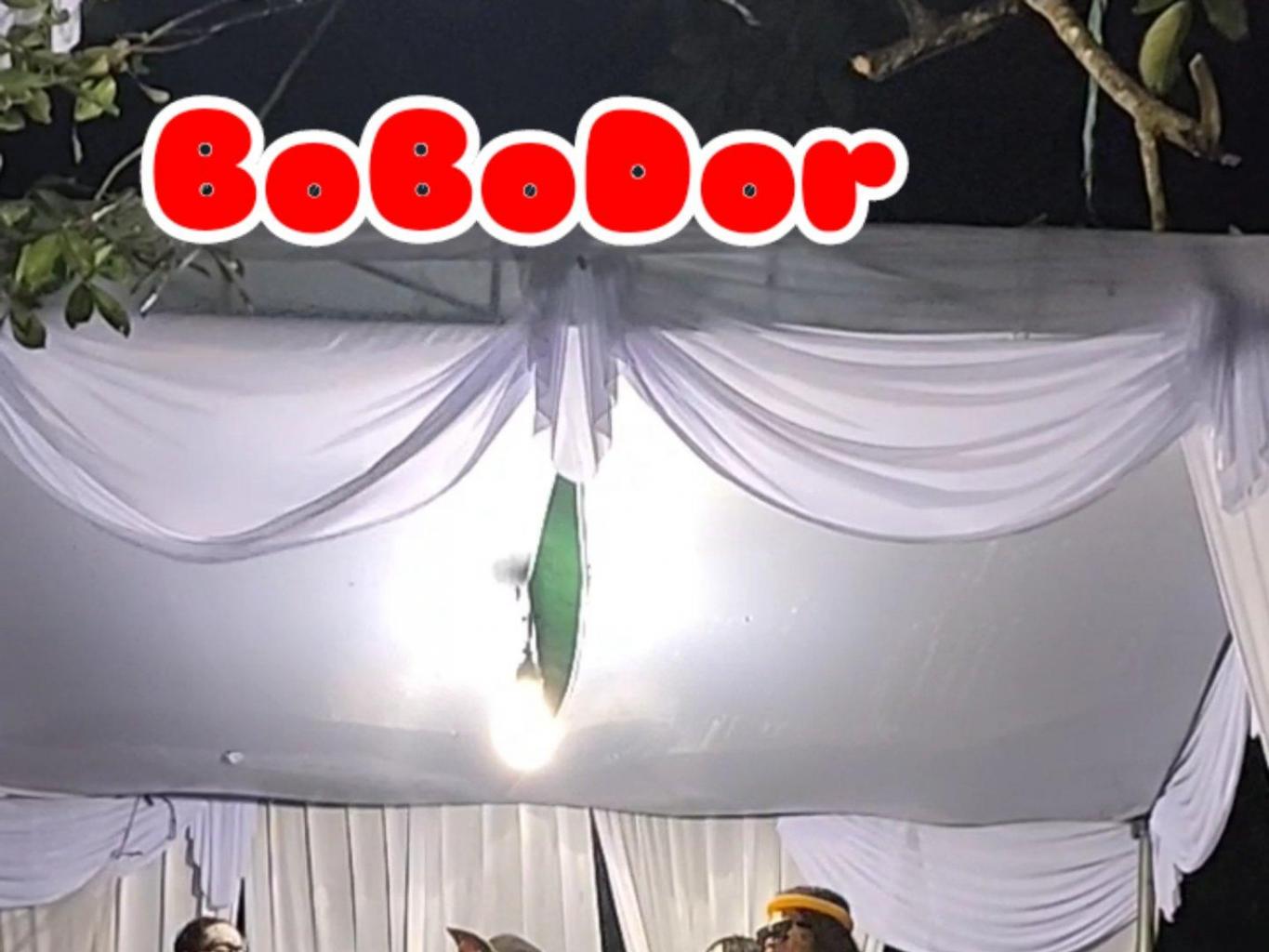 Bobodor Desa