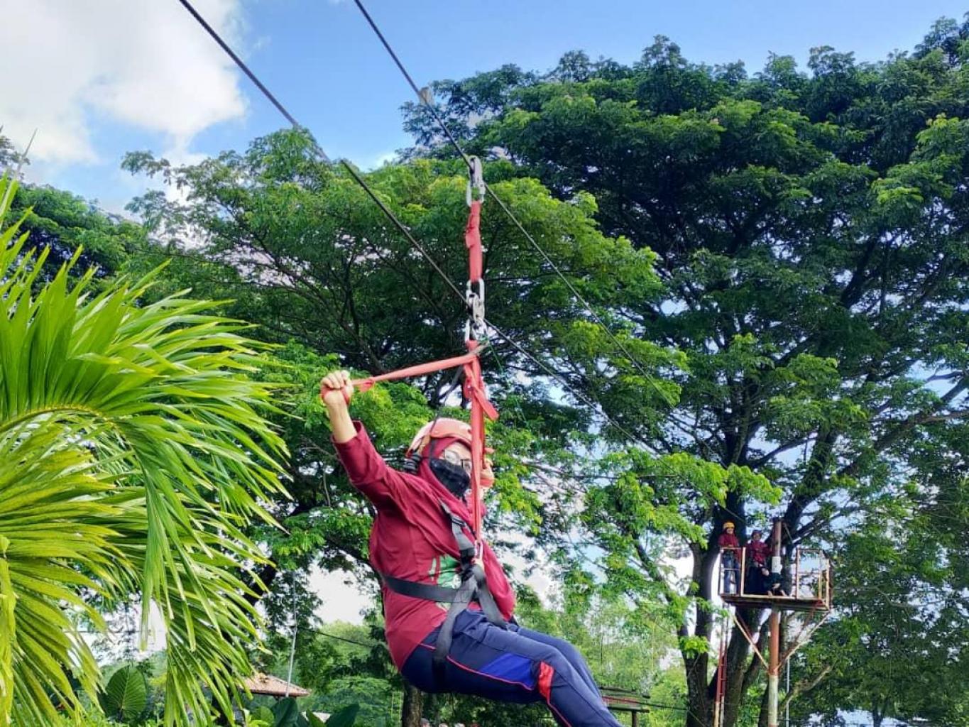 Flying Fox