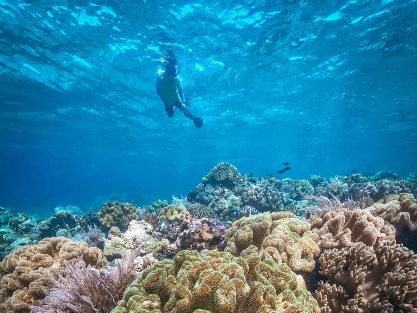 OPEN TRIP - Fun Snorkeling 3 Hari 2 Malam