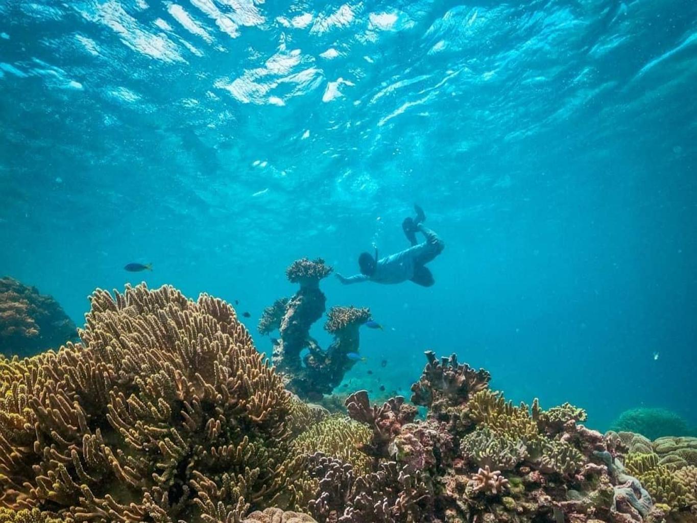 ONE DAY TRIP - Snorkeling Time