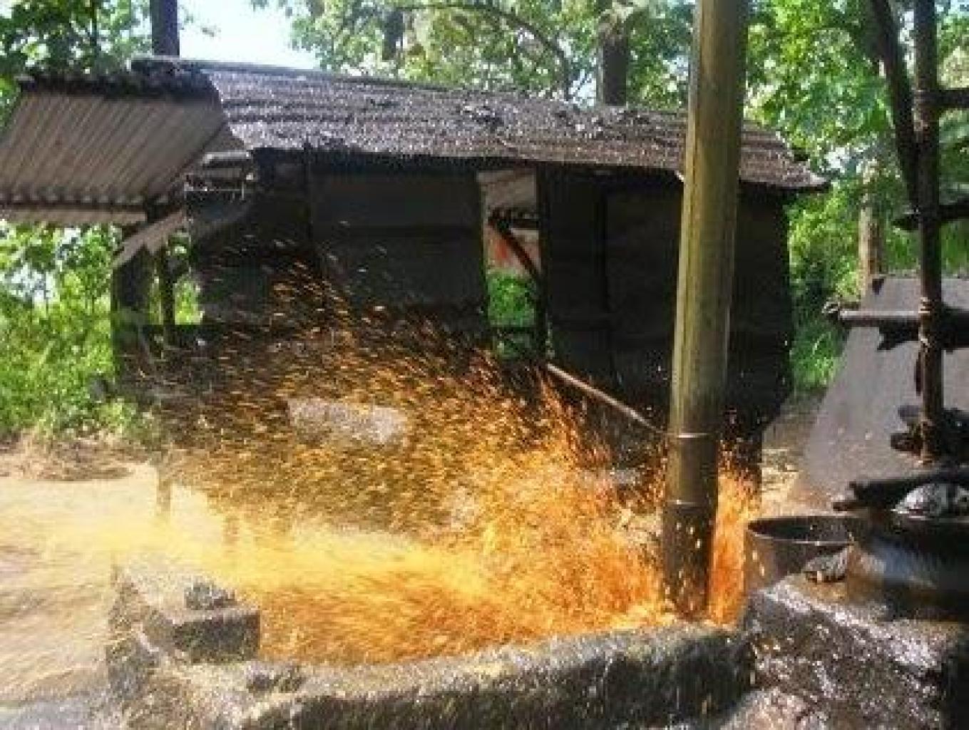 Wisata Edukasi Sumur Minyak Tua