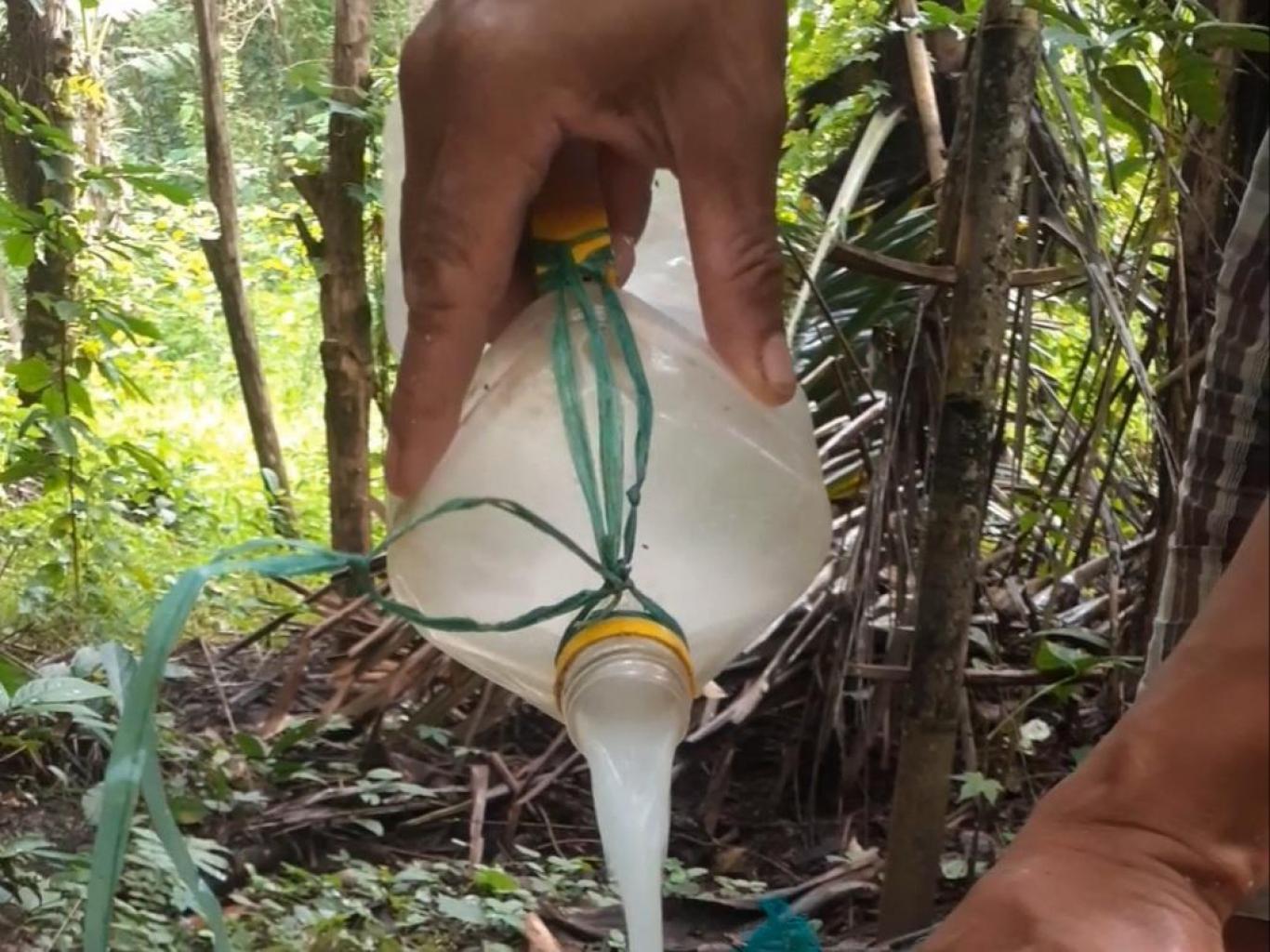 KONAU