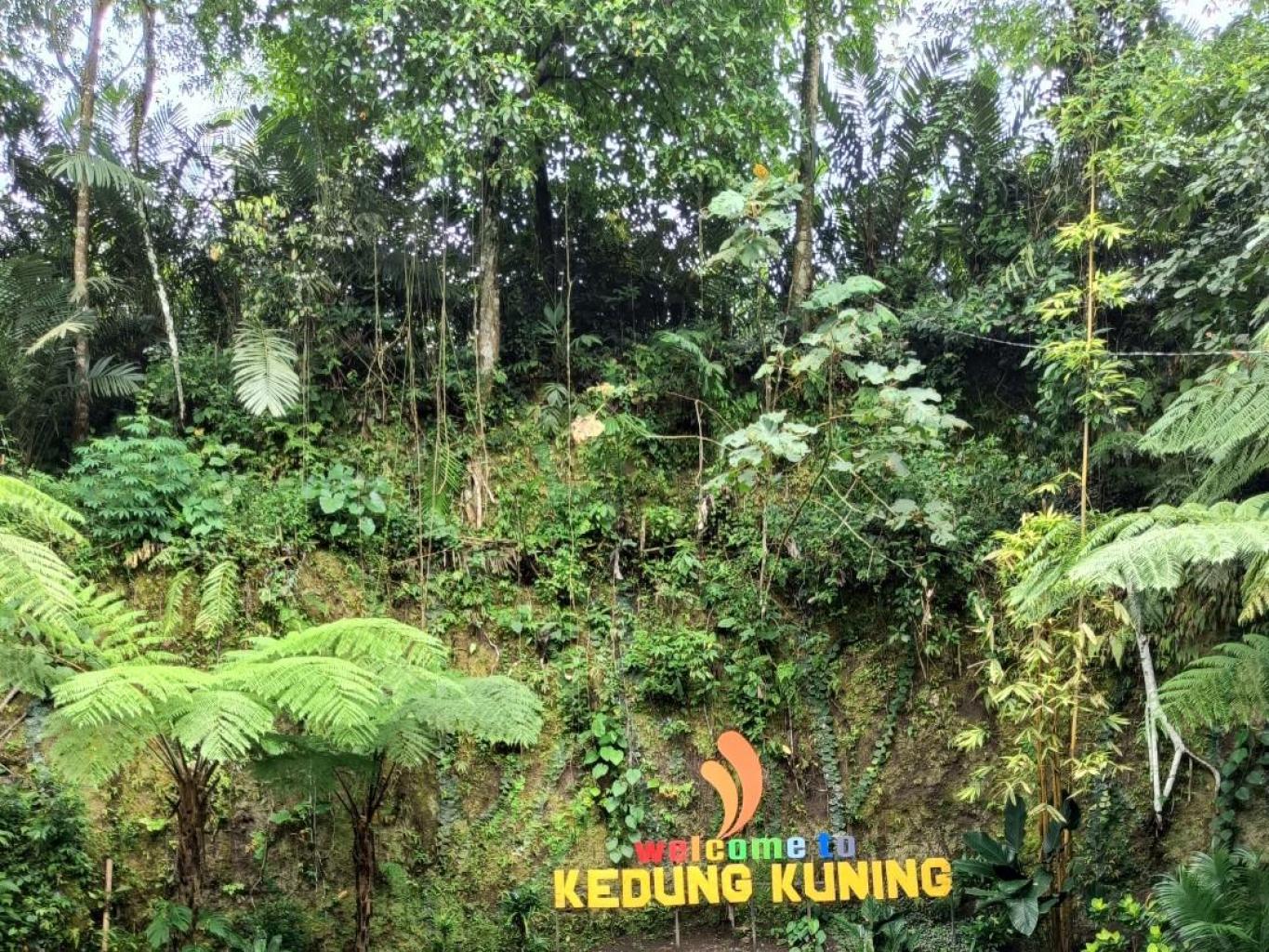 Kedung Kuning