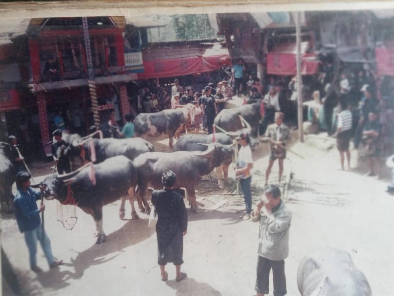 Ritual Ma'pasilaga tedong pada Acara Rambu Solo
