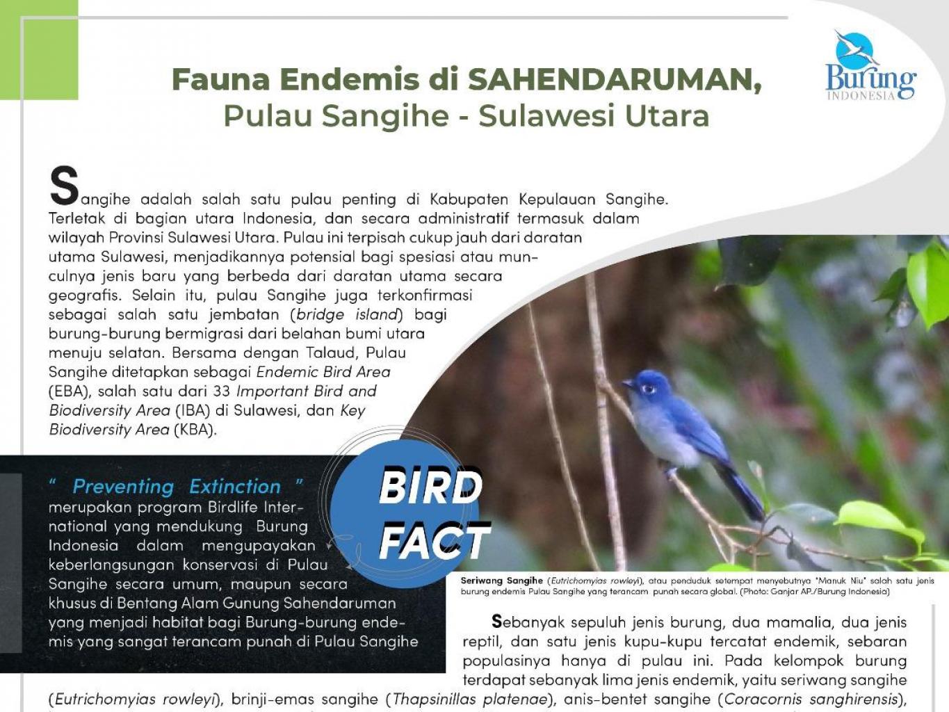 11 Burung Endemik Sangihe