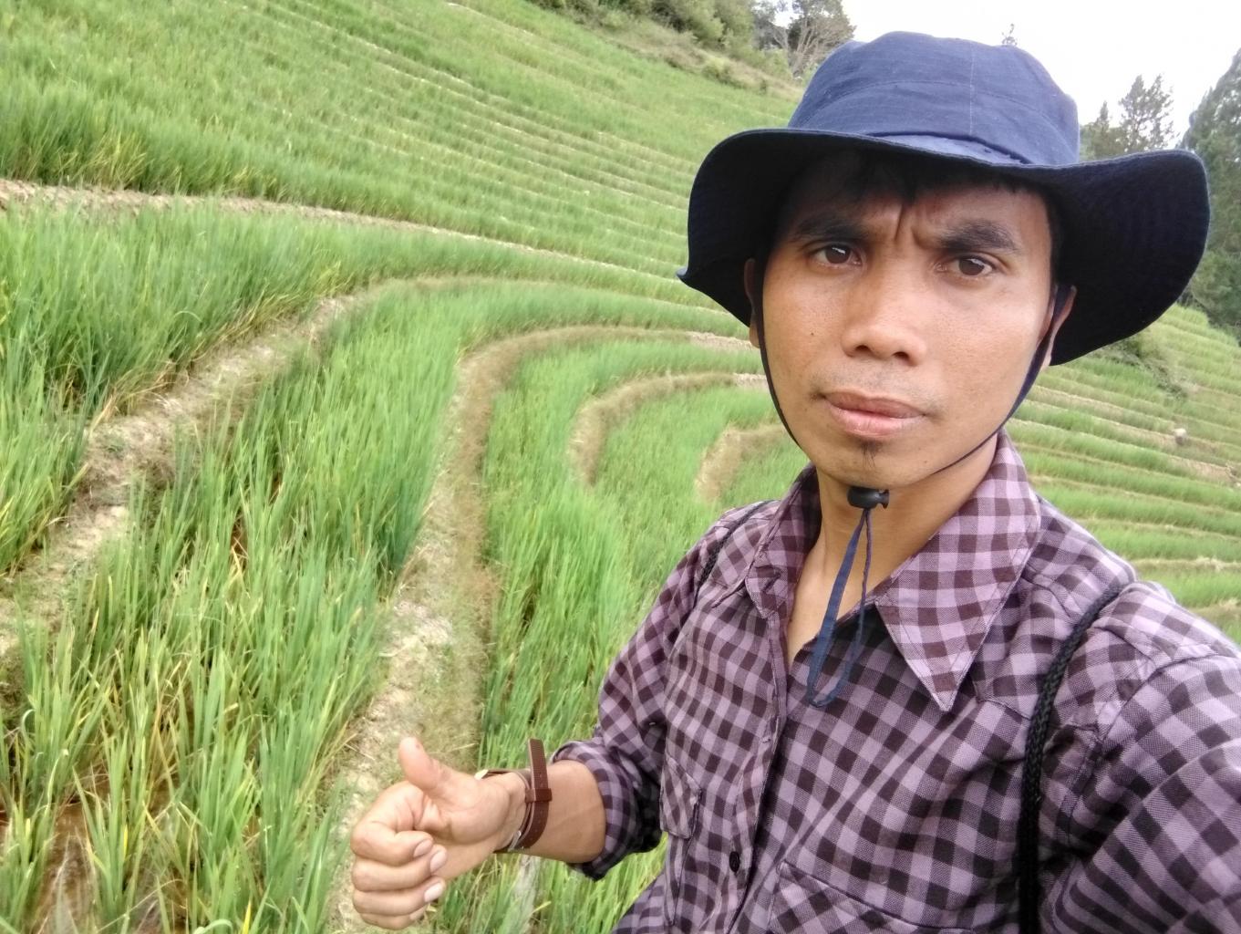 Sebagian kecil panorama alam persawahan desa panura' 