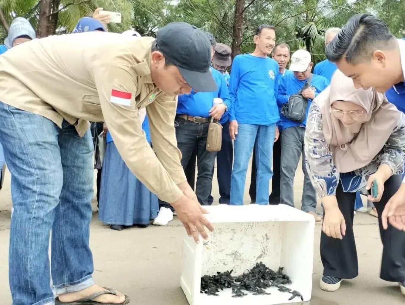Paket Wisata Edukasi Pelepasan Penyu