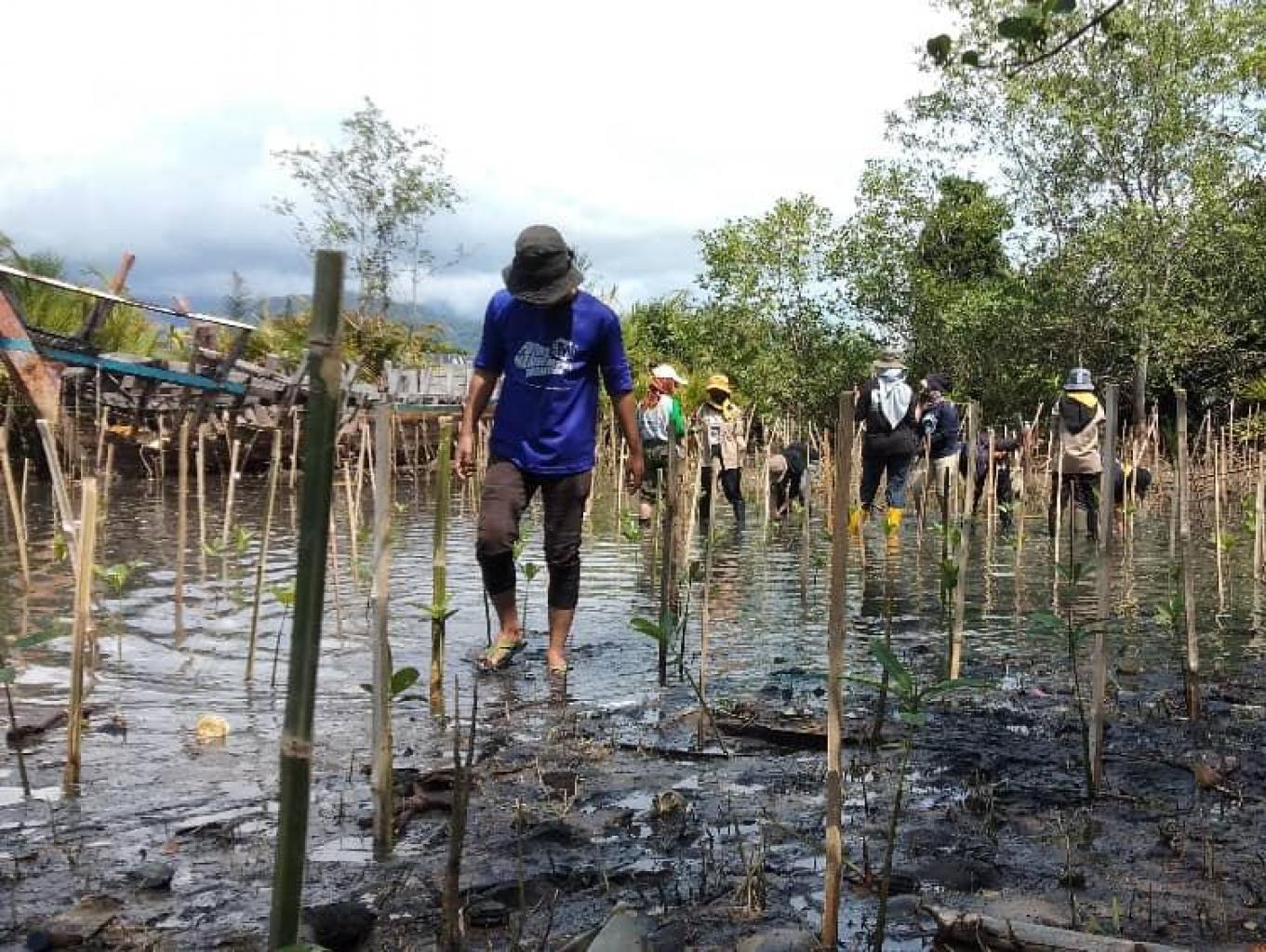 Paket Eko Wisata Penanaman Mangrove