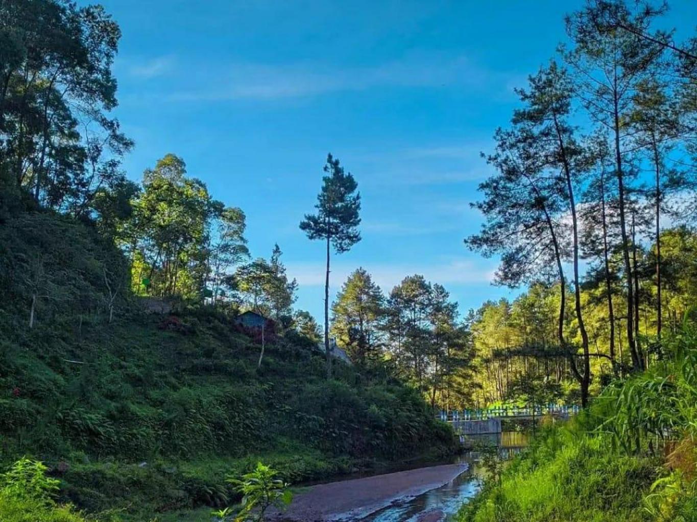 EMBUNG PANDAN WANGI