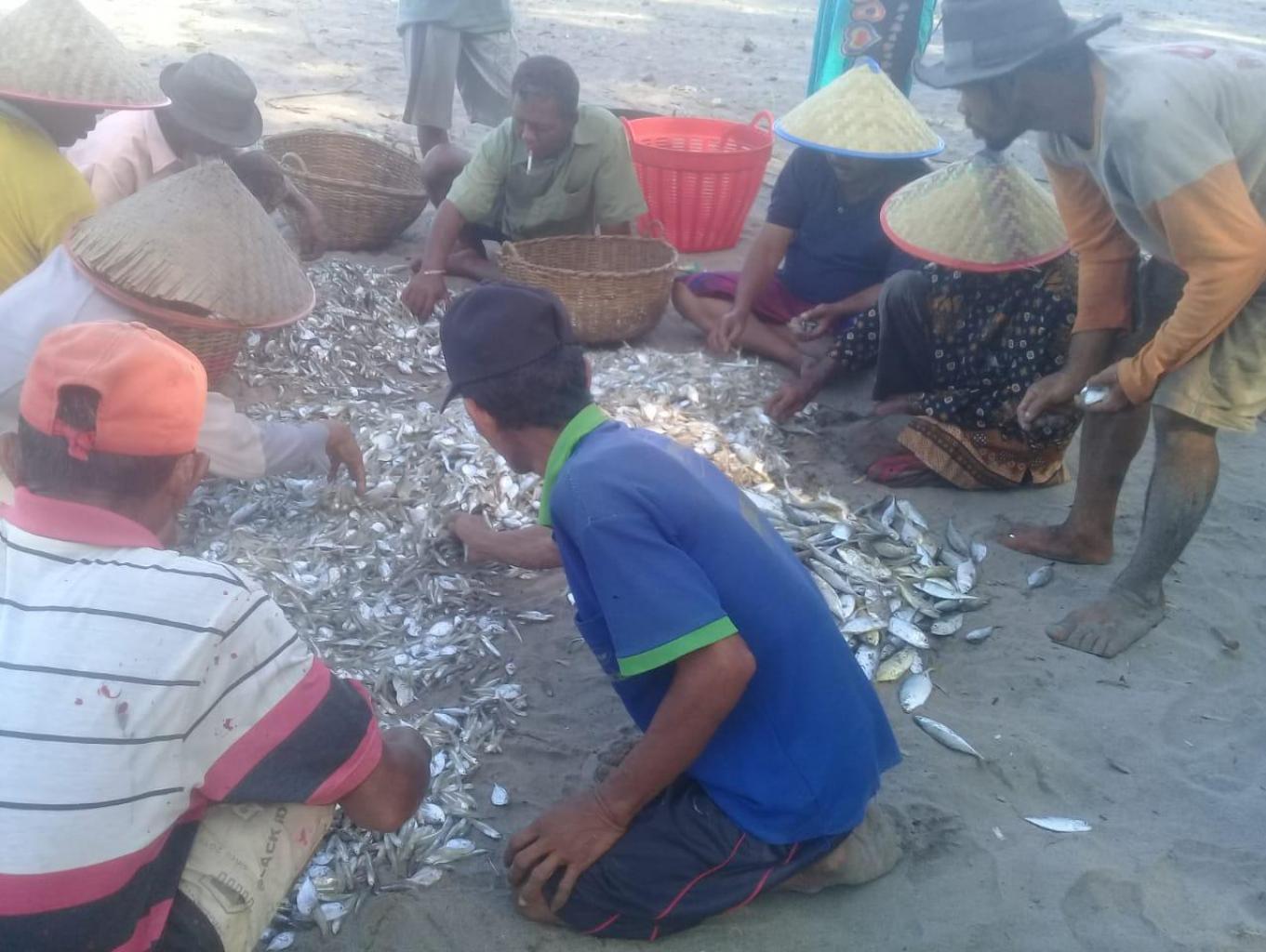 ikan basah dan kering