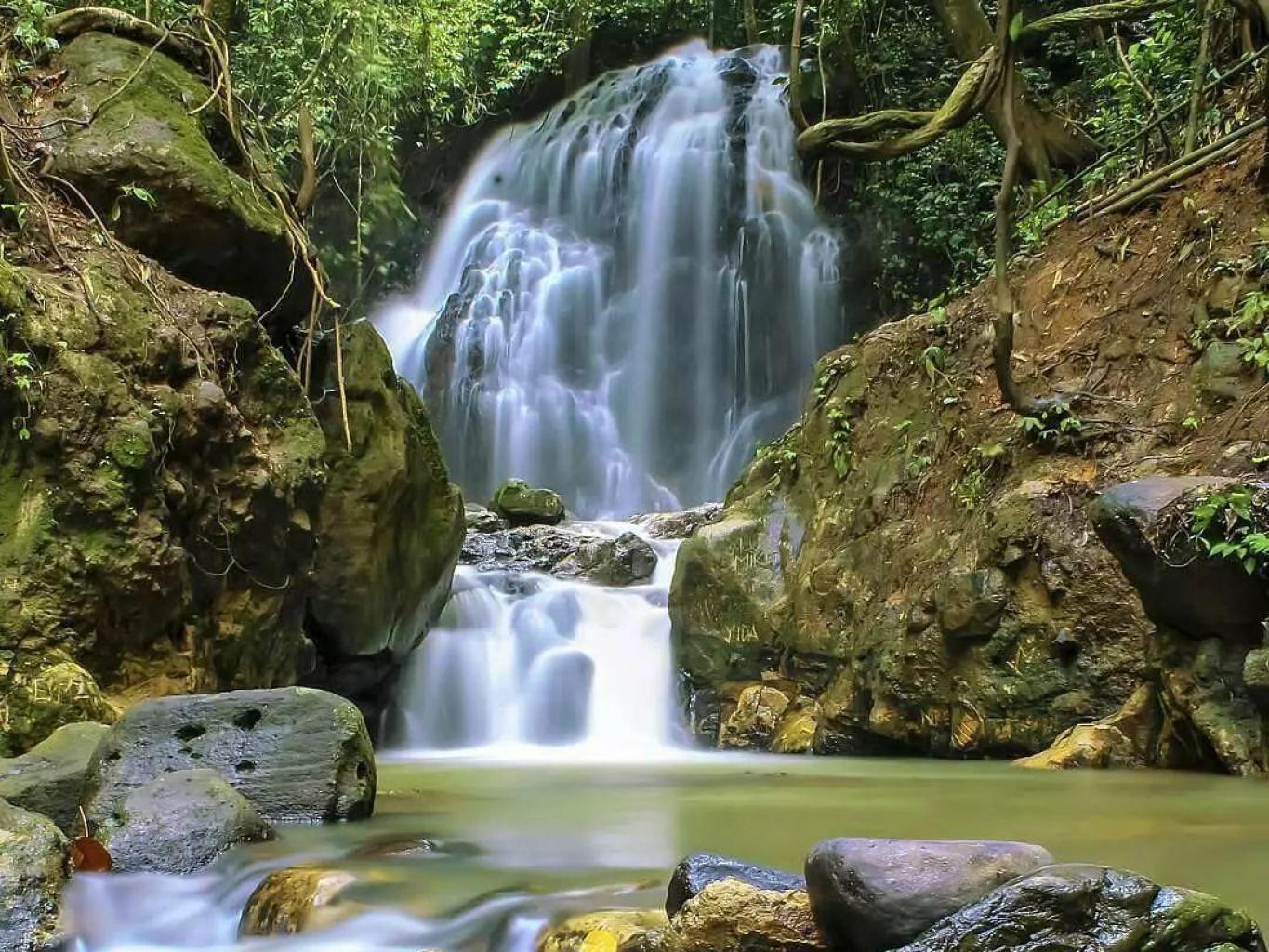 Air Terjun Curup Pisang
