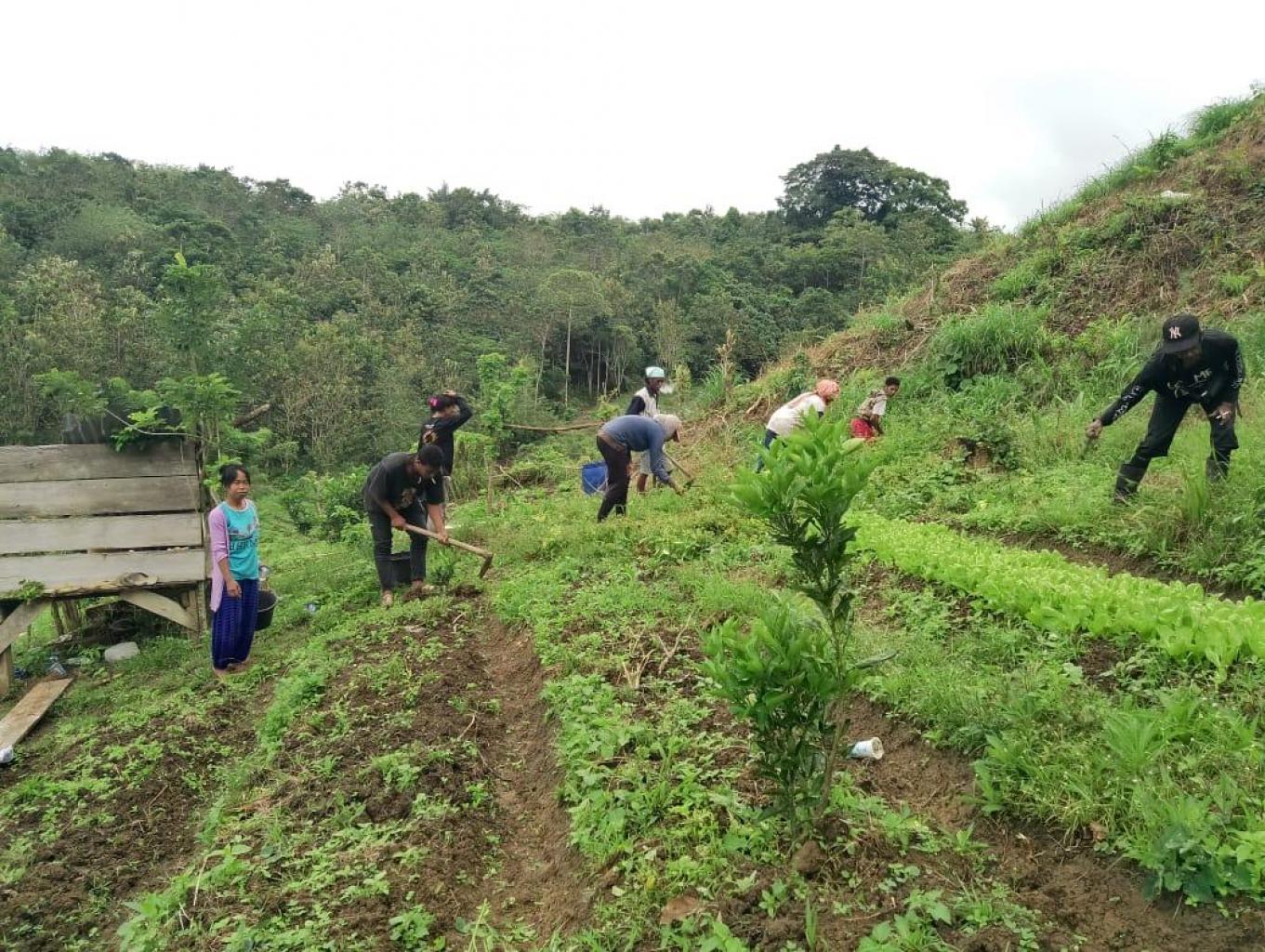 Agrowisata Pertanian Kampung Buah