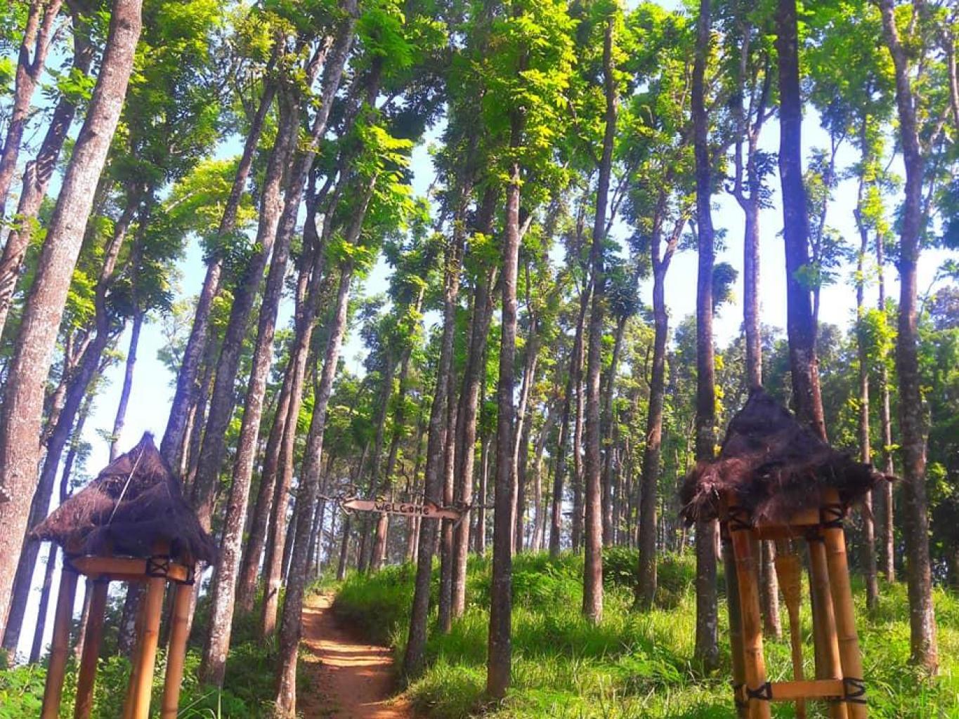 WISATA BUKIT TUMANG