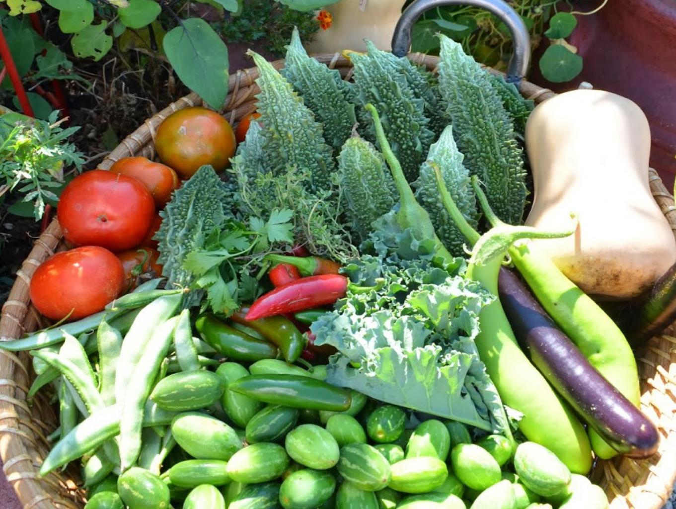 Sayur mayur