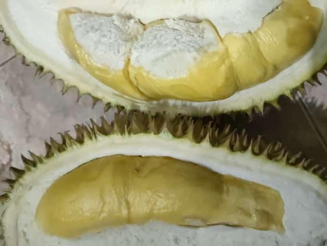 Durian Menoreh