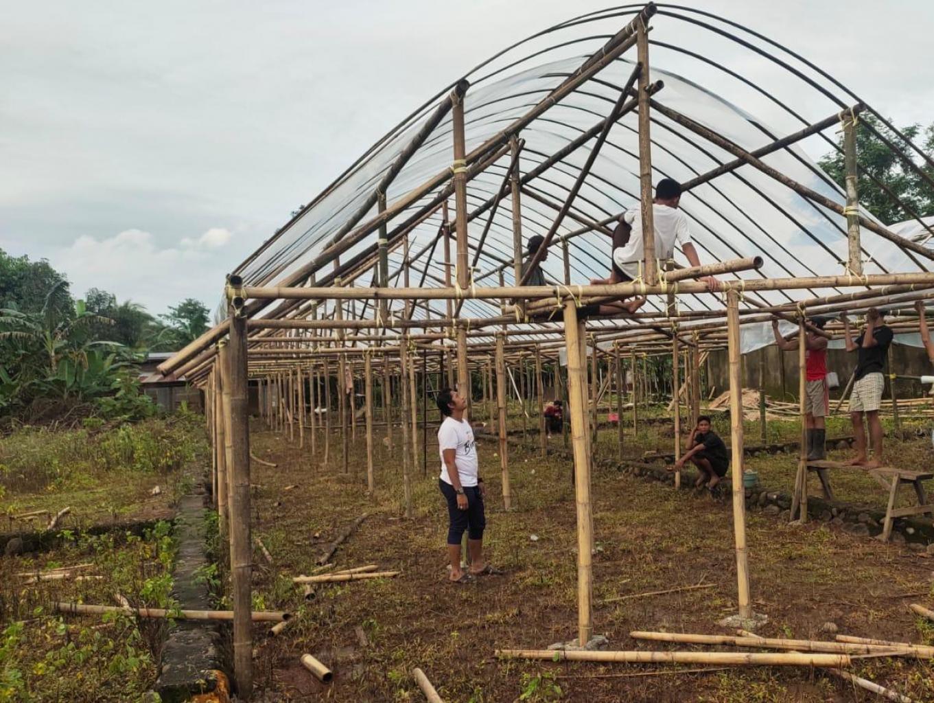 Green House