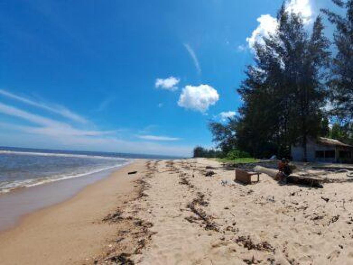 Paket Wisata Cemara + Kunjungan Karang Malingkit