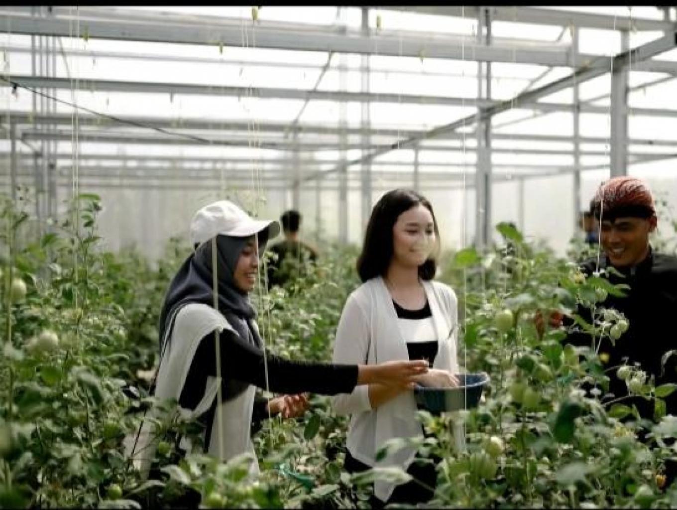 Green house tour