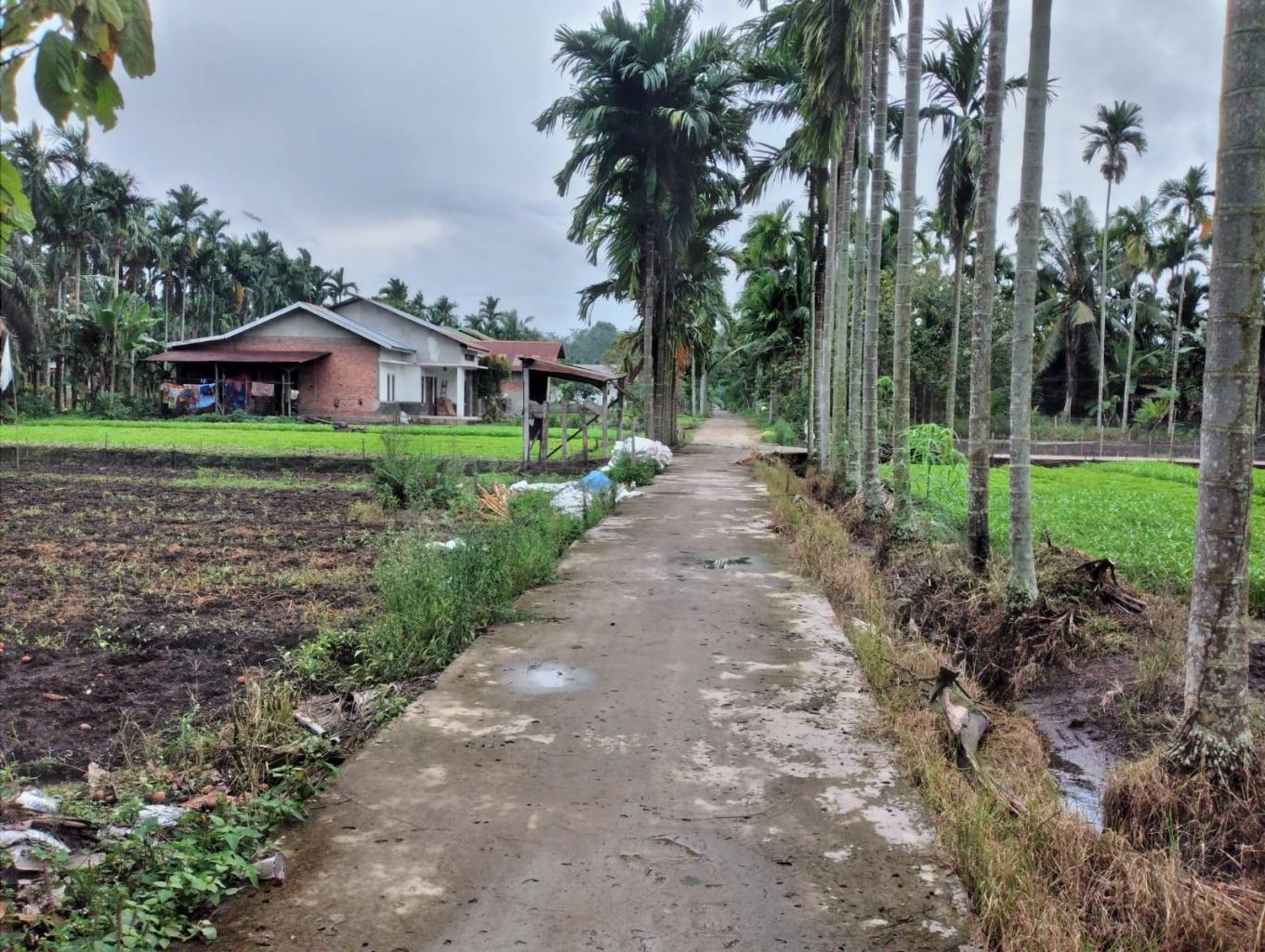 Kebun Sayur Kito