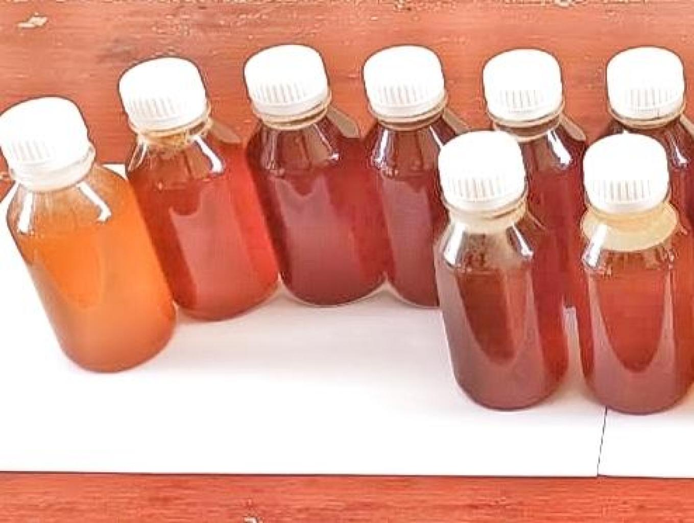 Madu Kelanceng ( Trigona)