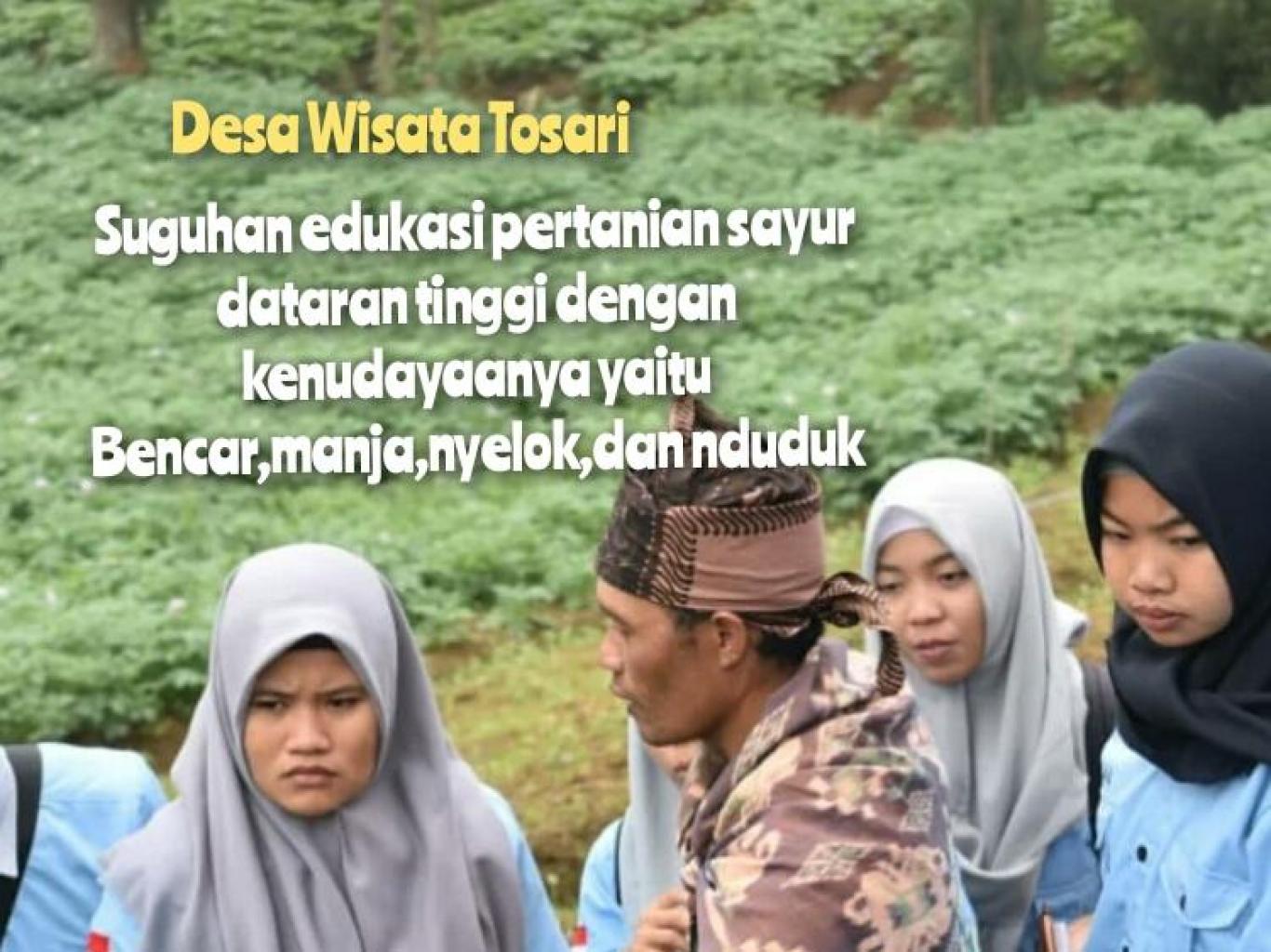BENCAR MANJA NGRUMAT Edukasi Pertanian Sayur