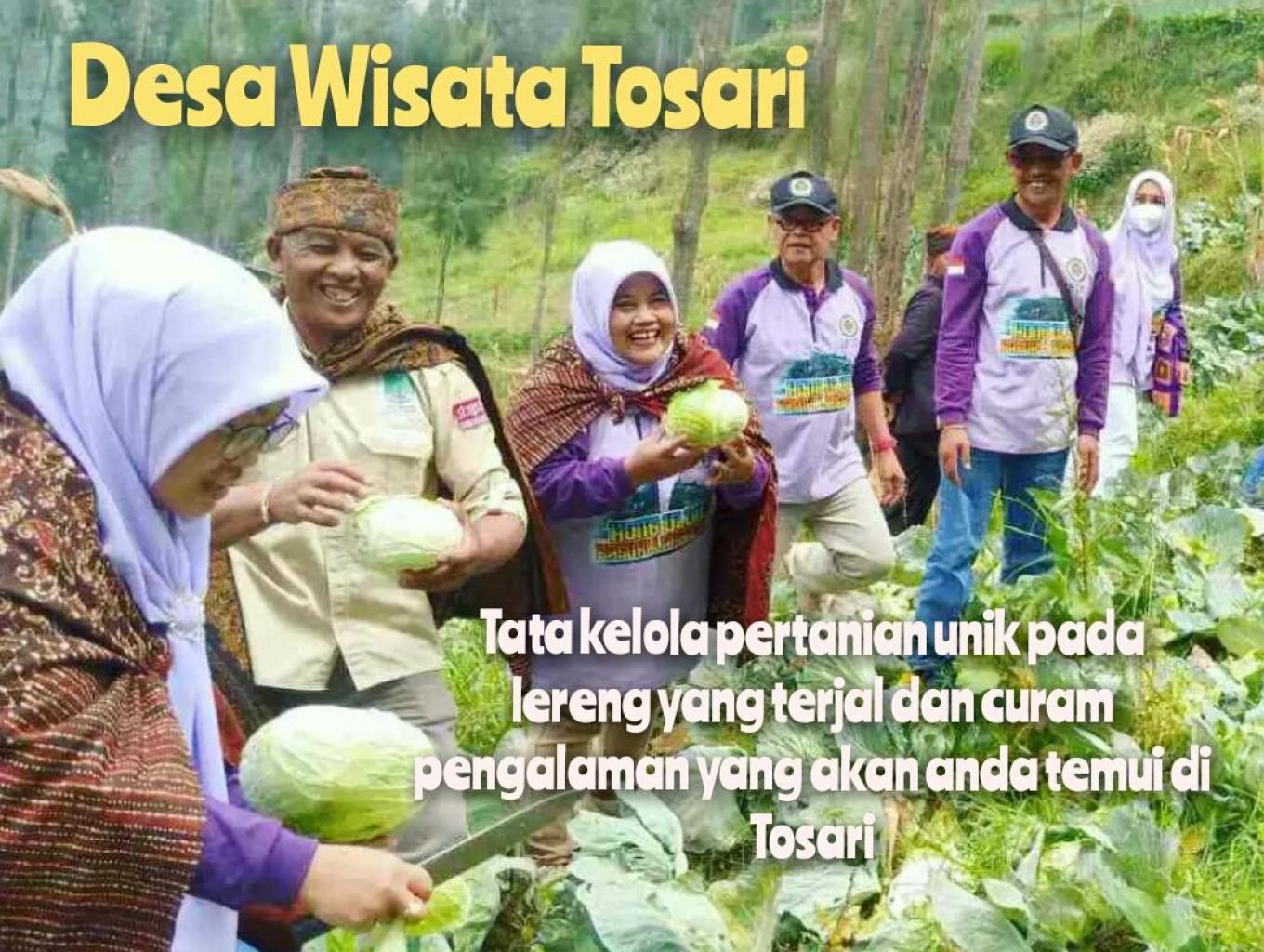 Panen Bareng